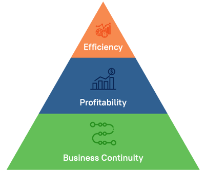 Professional legacy system replacement Infographic